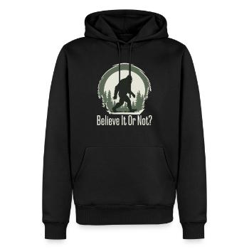 BIGFOOT - Men’s Premium Organic Hoodie - black - Front - Nico (187cm)