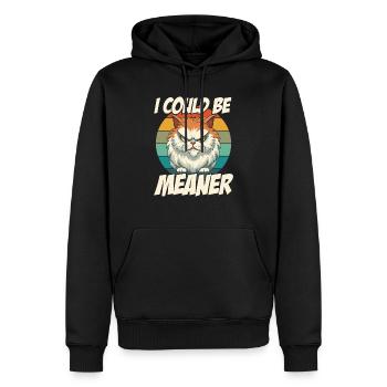 I Could Be Meaner - Men’s Premium Organic Hoodie - black - Front - Nico (187cm)