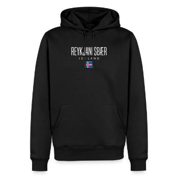 Île de Reykjanesbær - Sweat à capuche Premium bio Homme - noir - Devant - Nico (187cm)