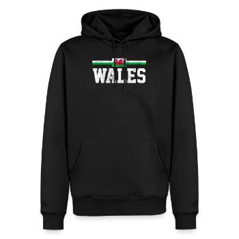 Wales - Männer Premium Bio Hoodie - Schwarz - Vorne - Nico (187cm)
