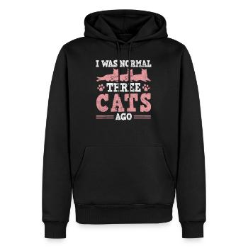 Cat owner cats cat three 3 - Men’s Premium Organic Hoodie - black - Front - Nico (187cm)