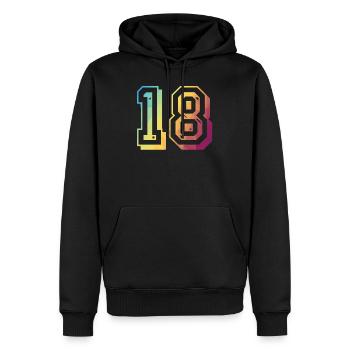 18 ans Arc-en-ciel - Sweat à capuche Premium bio Homme - noir - Devant - Nico (187cm)