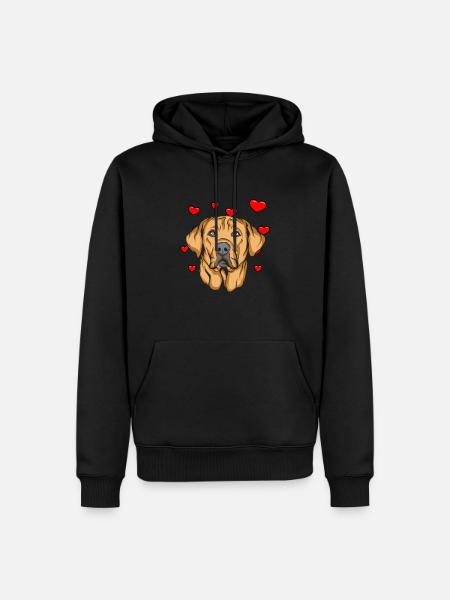 Broholmer - Men’s Premium Organic Hoodie - black