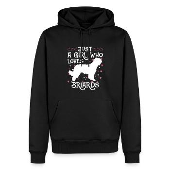 Briard Gift Dogs - Men’s Premium Organic Hoodie - black - Front - Nico (187cm)