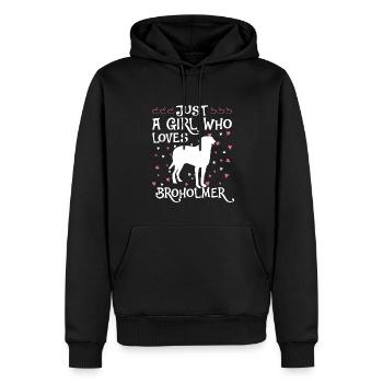 Broholmer Geschenk Hunde - Männer Premium Bio Hoodie - Schwarz - Vorne - Nico (187cm)