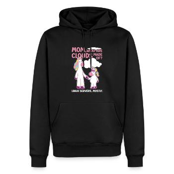 Cloud Computing Informatik Tech - Männer Premium Bio Hoodie - Schwarz - Vorne - Nico (187cm)