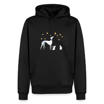 Stargazers - Sweat à capuche Premium bio Homme - noir - Devant - Nico (187cm)