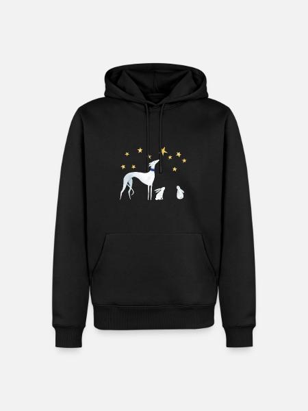 Stargazers - Sweat à capuche Premium bio Homme - noir
