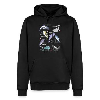Inspirational Environmentalism Dolphin - Men’s Premium Organic Hoodie - black - Front - Nico (187cm)