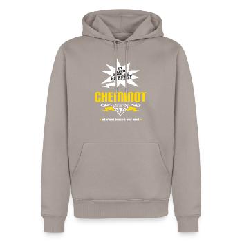 Je Ne Suis Pas Un Superhéros Je Suis Cheminot - Sweat à capuche Premium bio Homme - taupe - Devant - Nico (187cm)