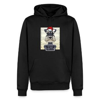 Dear Santa I Can Explain Miniature Schnauzer - Männer Premium Bio Hoodie - Schwarz - Vorne - Nico (187cm)