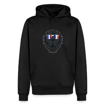 Newfoundland France Sunglasses I French Flag - Männer Premium Bio Hoodie - Schwarz - Vorne - Nico (187cm)