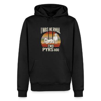 Grandes Pyrénées Il y a deux ans, j’étais encore normal - Sweat à capuche Premium bio Homme - noir - Devant - Nico (187cm)