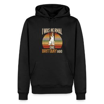 French Brittany Spaniel Epagneul Breton Geschenk - Männer Premium Bio Hoodie - Schwarz - Vorne - Nico (187cm)