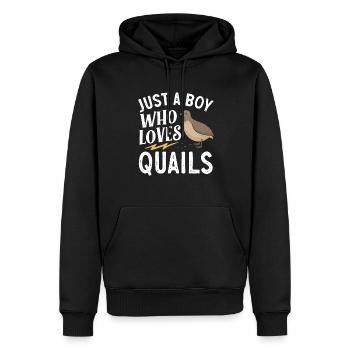 Cadeau d’amoureux des oiseaux de caille - Sweat à capuche Premium bio Homme - noir - Devant - Nico (187cm)