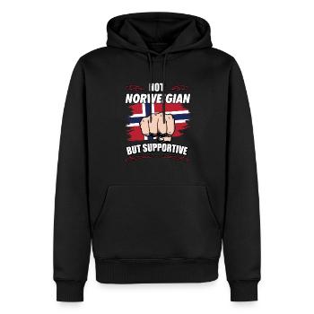 Pas norvégien mais touristique de voyage de soutien Norvège - Sweat à capuche Premium bio Homme - noir - Devant - Nico (187cm)