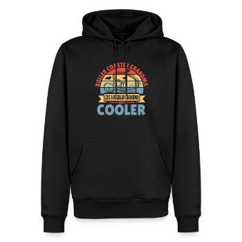 Theme Park Grandmother Amusement Park Roller Coast - Männer Premium Bio Hoodie - Schwarz - Vorne - Nico (187cm)