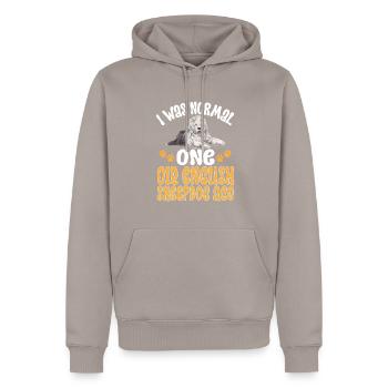 Vieux chien de berger anglais Sheepie Bobtail - Sweat à capuche Premium bio Homme - taupe - Devant - Nico (187cm)