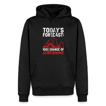 Achterbahn Rollercoaster Freizeitpark - Männer Premium Bio Hoodie - Schwarz - Vorne - Nico (187cm)