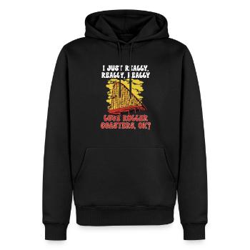 Achterbahn Rollercoaster Freizeitpark - Männer Premium Bio Hoodie - Schwarz - Vorne - Nico (187cm)