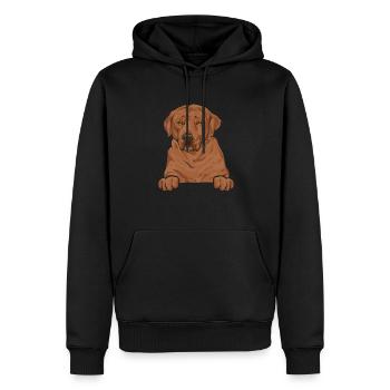 Foxred Labrador Fox Red Labrador Retriever - Men’s Premium Organic Hoodie - black - Front - Nico (187cm)