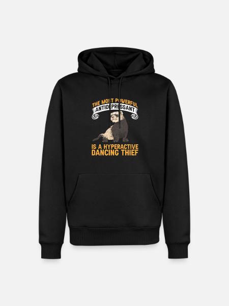Ferret Owner Ferret - Men’s Premium Organic Hoodie - black