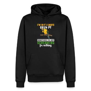 Parakeet Parrot Parakeet Bird - Men’s Premium Organic Hoodie - black - Front - Nico (187cm)