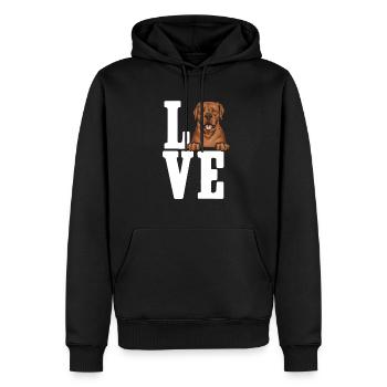 Fuchsroter Labrador Retriever Fox Red Labrador - Männer Premium Bio Hoodie - Schwarz - Vorne - Nico (187cm)