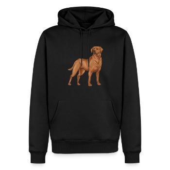 Fuchsroter Labrador Retriever Fox Red Labrador - Men’s Premium Organic Hoodie - black - Front - Nico (187cm)