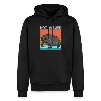 Schwarzer Regenfrosch Breviceps Fuscus Frosch - Männer Premium Bio Hoodie - Schwarz - Vorne - Nico (187cm)