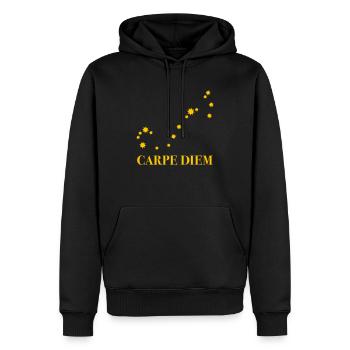Carpe Diem utilise la constellation du jour Ciel du Scorpion - Sweat à capuche Premium bio Homme - noir - Devant - Nico (187cm)