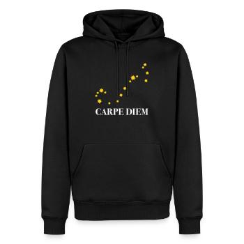 Carpe Diem utilise la constellation du jour Ciel du Scorpion - Sweat à capuche Premium bio Homme - noir - Devant - Nico (187cm)