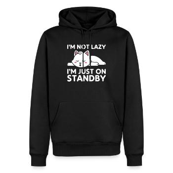 I'm not lazy, I'm just on standby - Men’s Premium Organic Hoodie - black - Front - Nico (187cm)