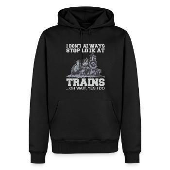 Train de marchandises Conducteur de locomotive Conducteur de locomotive Conducteur de locomotive - Sweat à capuche Premium bio Homme - noir - Devant - Nico (187cm)