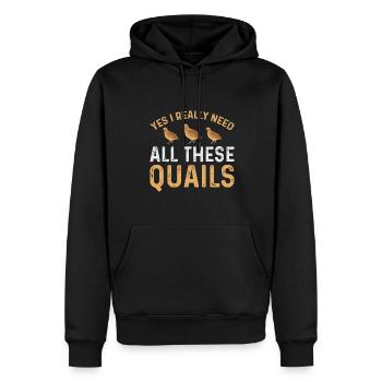 Oui, j’ai vraiment besoin de toutes ces cailles. - Sweat à capuche Premium bio Homme - noir - Devant - Nico (187cm)