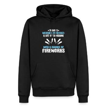 Pyrotechnicien Feux d’artifice Pyrotechnie Pyrotechnicien - Sweat à capuche Premium bio Homme - noir - Devant - Nico (187cm)