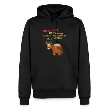 Schönes Pony Longieren - Männer Premium Bio Hoodie - Schwarz - Vorne - Nico (187cm)