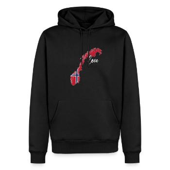 Norvège norvégienne Origine Drapeau norvégien - Sweat à capuche Premium bio Homme - noir - Devant - Nico (187cm)