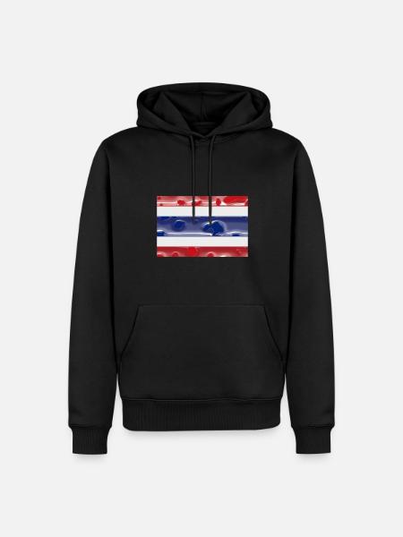 Thailand Thailand - Men’s Premium Organic Hoodie - black