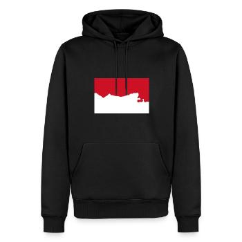Indonésie - Sweat à capuche Premium bio Homme - noir - Devant - Nico (187cm)