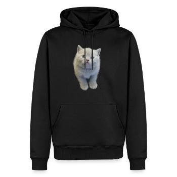 Kätzchen - Männer Premium Bio Hoodie - Schwarz - Vorne - Nico (187cm)