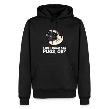 Ich mag Möpse einfach wirklich, okay lustiger Mops - Männer Premium Bio Hoodie - Schwarz - Vorne - Nico (187cm)