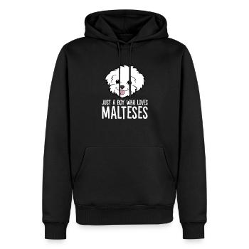 Chien maltais Juste un garçon qui aime le maltais - Sweat à capuche Premium bio Homme - noir - Devant - Nico (187cm)