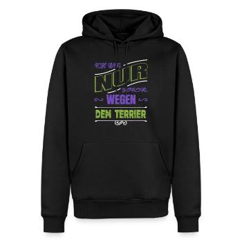 déclaration cool disant geek bday drôle grand danois - Sweat à capuche Premium bio Homme - noir - Devant - Nico (187cm)