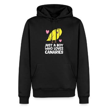 Juste un garçon qui aime les Canaries Mignon oiseau canarien - Sweat à capuche Premium bio Homme - noir - Devant - Nico (187cm)