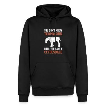Teamwork Kennt Man Erst, Wenn Man Einen - Männer Premium Bio Hoodie - Schwarz - Vorne - Nico (187cm)