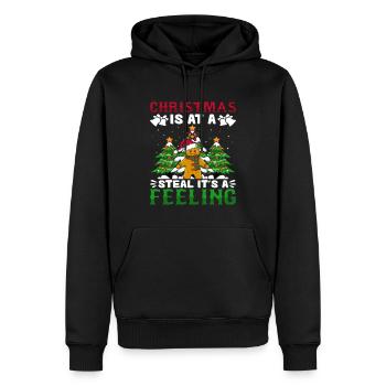 Noël est à un vol c’est un sentiment de pain d’épices - Sweat à capuche Premium bio Homme - noir - Devant - Nico (187cm)