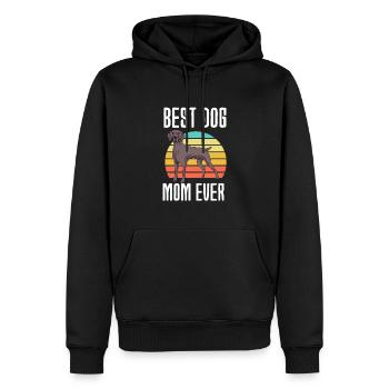 Weimaraner - Männer Premium Bio Hoodie - Schwarz - Vorne - Nico (187cm)