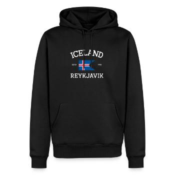 Island - Männer Premium Bio Hoodie - Schwarz - Vorne - Nico (187cm)