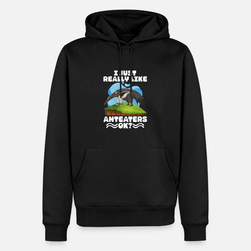 Cher cadeau de fourmilier - Sweat à capuche Premium bio Homme - noir
